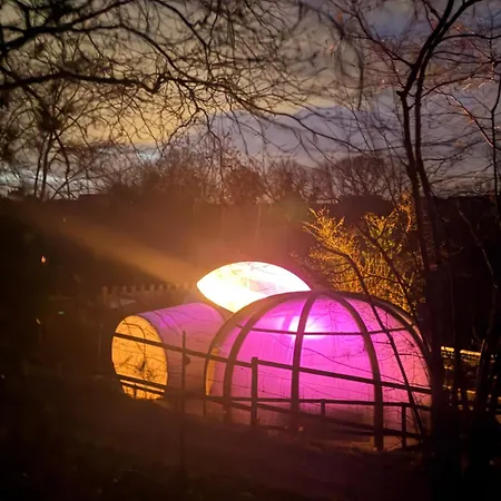 La Bulle Etoilee